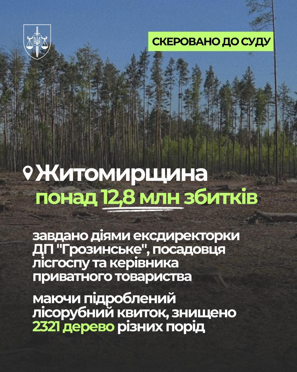 Почти 95 млн грн убытков: экопрокуратура передает в суд дела по незаконным рубкам