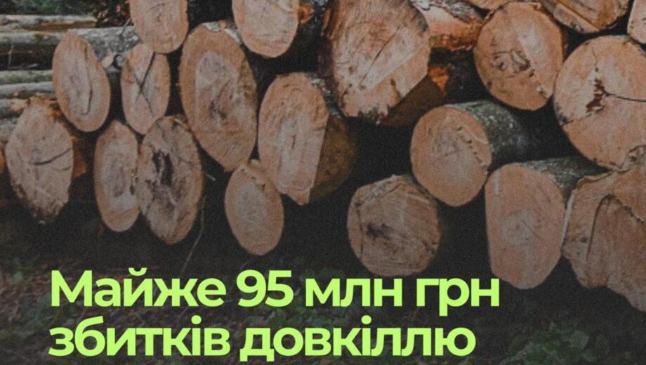 Тысячи уничтоженных деревьев в регионах: должностных лиц и лесопользователей будут судить