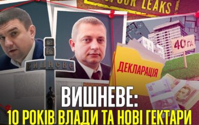 Мэр, заместитель и забытые 40 гектаров: что скрывает власть Вишневого