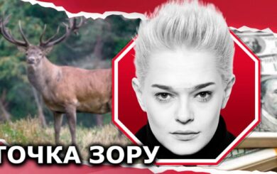 Олень Борис: реальность vs эмоции