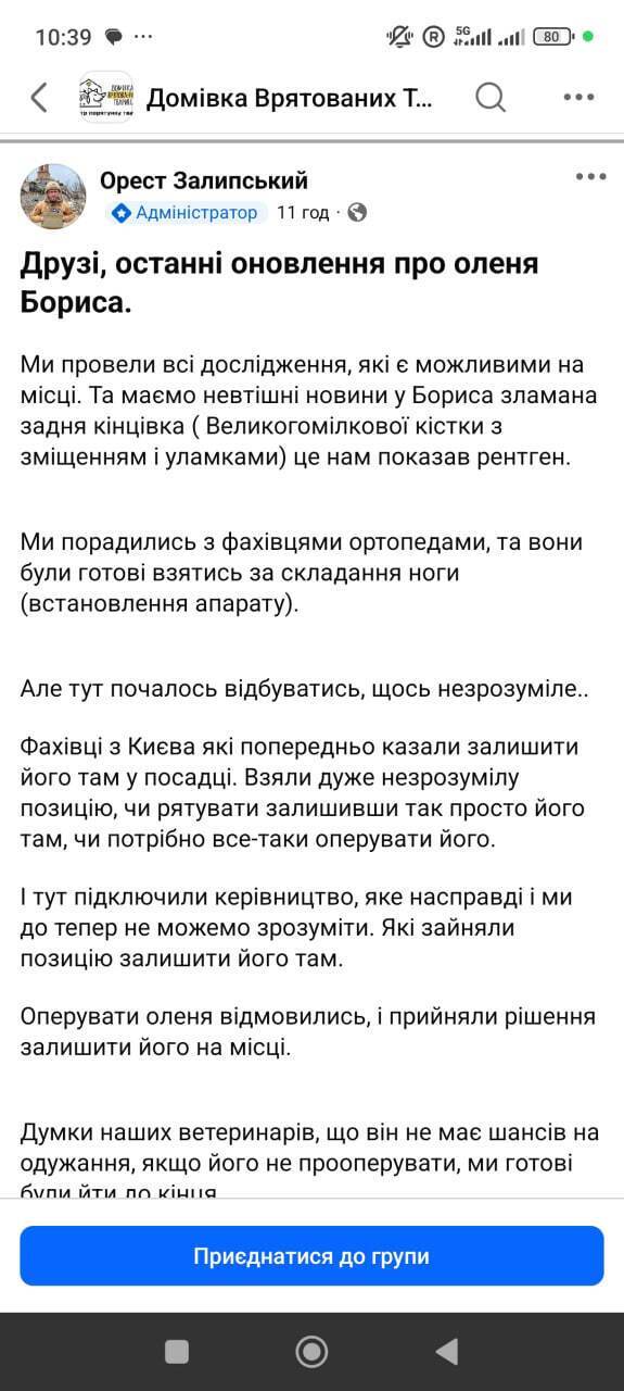 Олень Борис: реальність vs емоції
