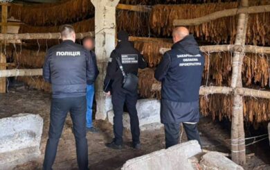 8 тонн табака и гектары посевов: правоохранители ликвидировали нелегальный бизнес
