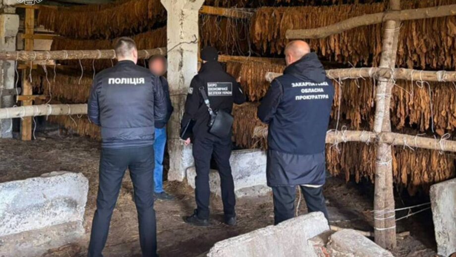8 тонн табака и гектары посевов: правоохранители ликвидировали нелегальный бизнес