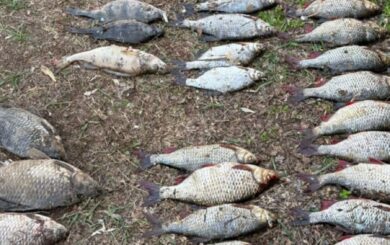 Более 67 тысяч гривен убытков за сетки: на Каневском водохранилище во время нереста поймали браконьера