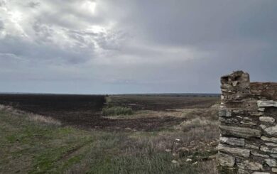 155 гектаров водоемов вернули общине Николаевской области: решение Верховного Суда
