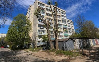 ИИ вместо отчета: во Львове чиновницу наказали за фейковое фото обрезки дерева