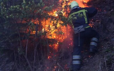 Лесной пожар возле Воловца охватил 75 гектаров и продолжает распространяться