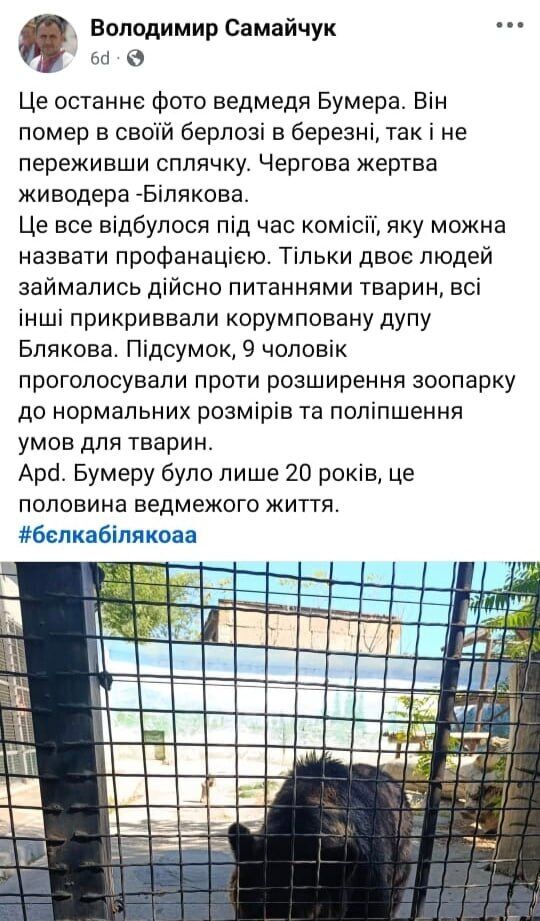 Маніпуляції навколо тварин: смертність у зоопарках