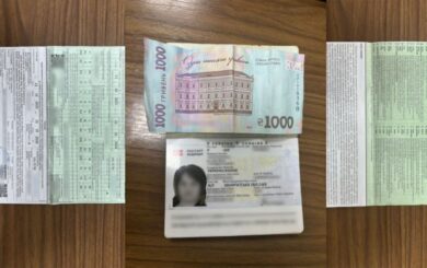 Фальшивый страховой полис и попытка подкупа: на границе с Венгрией женщина совершила сразу два правонарушения