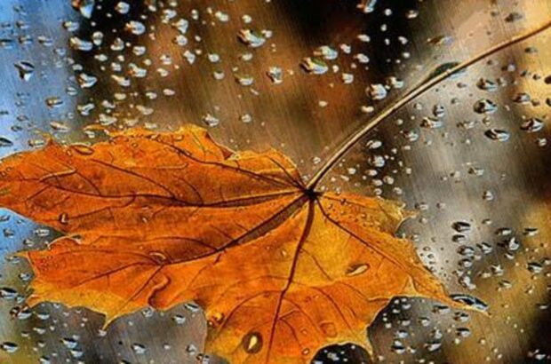 Похолодання в Україні: де температура впаде нижче +10°C
