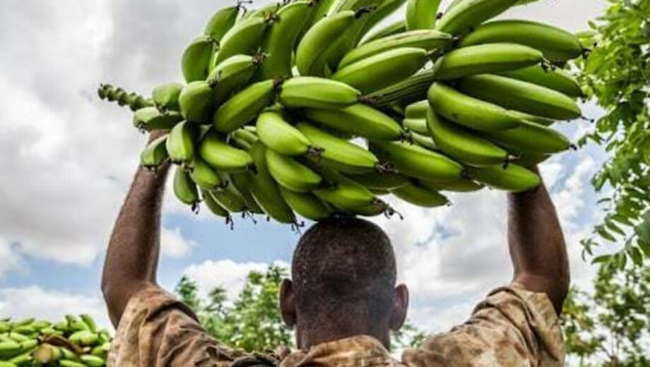 Банани в обмін на заборону постачання зброї Україні: Еквадор піддався тиску росії