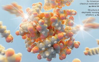 Генетика определяет половину долголетия – исследование Science