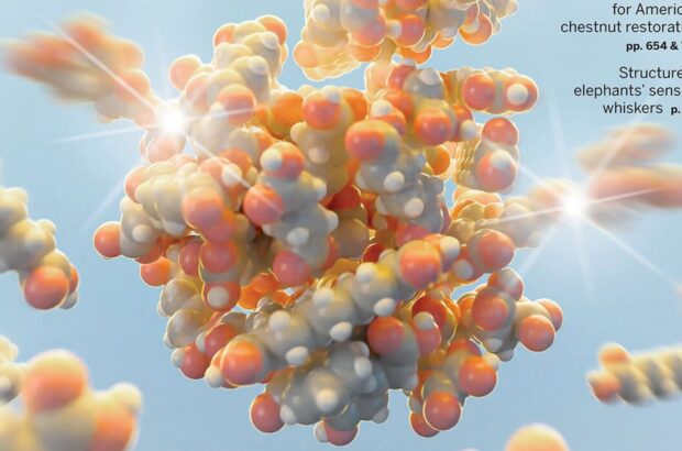 Генетика определяет половину долголетия – исследование Science