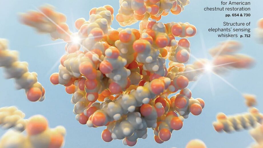 Генетика определяет половину долголетия – исследование Science