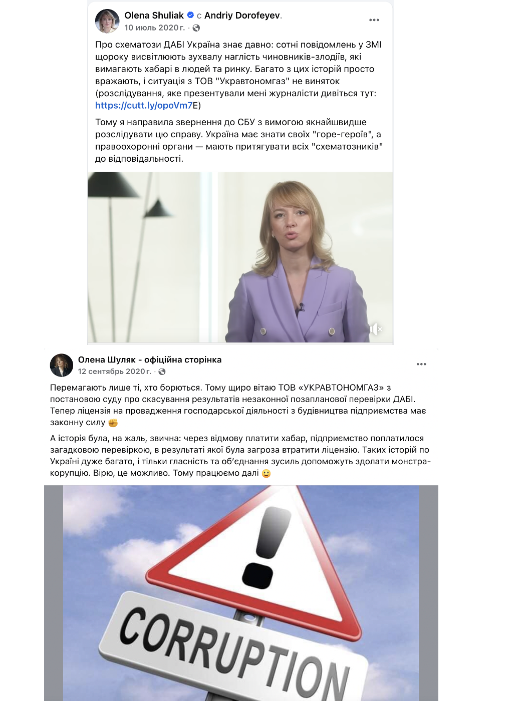 Скриншоты сообщений Елены Шуляк