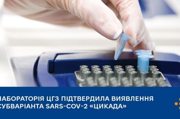 Новий субваріант Омікрону ”Цикада” зафіксували в Україні