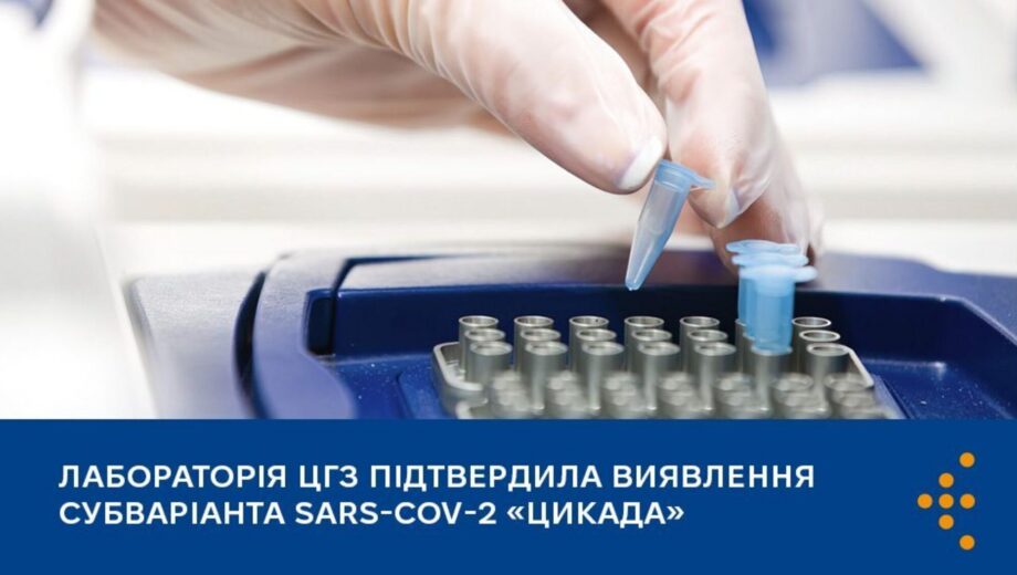 Новый субвариант Омикрона »Цикада» зафиксировали в Украине