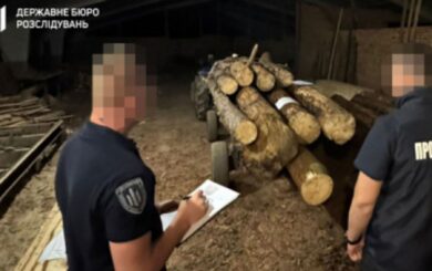 Незаконні вирубки в заповіднику: на Рівненщині судитимуть екслісника Поліського офісу ДП ”Ліси України” та його спільників