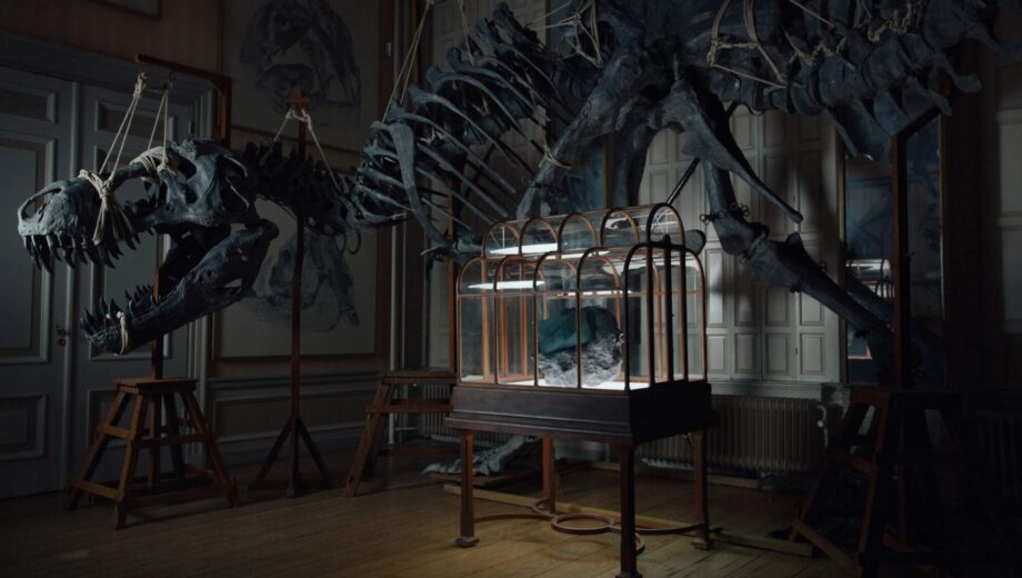 Сумка из кожи T-Rex за $663 000: первое в мире изделие из лабораторной кожи динозавра показали в Амстердаме