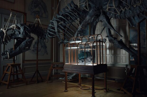 Сумка зі шкіри T-Rex за $663 000: перший у світі виріб із лабораторної шкіри динозавра показали в Амстердамі