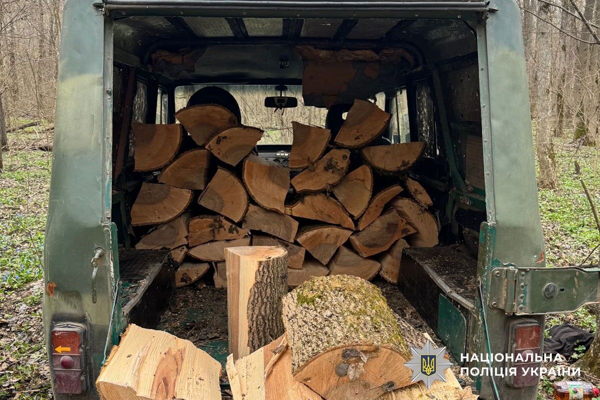 Полиция Полтавщины разоблачила незаконную порубку деревьев на 160 тыс. грн