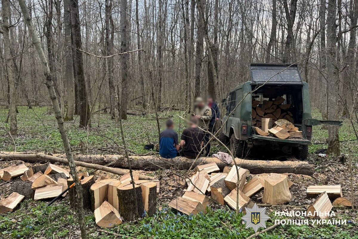 Полиция Полтавщины разоблачила незаконную порубку деревьев на 160 тыс. грн