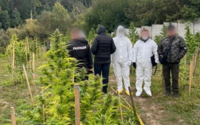 В Киевской области разоблачили наркогруппу: изъят товар на 15 млн грн