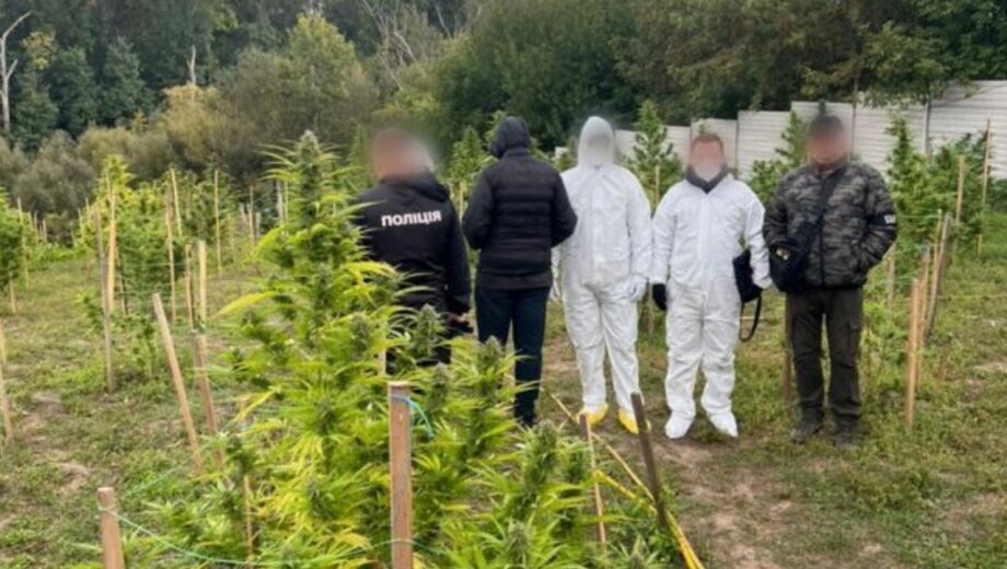 В Киевской области разоблачили наркогруппу: изъят товар на 15 млн грн