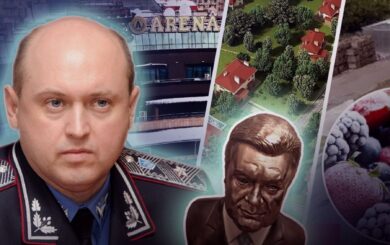 Служил Януковичу: налоговик Головач завладел коттеджным городком под Киевом и развлекательным центром