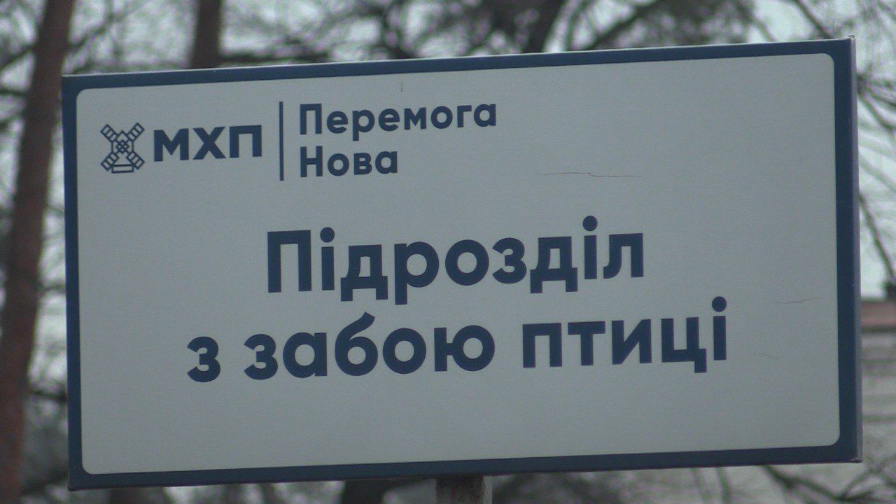 Зафіксовано збільшення обсягів забою птиці