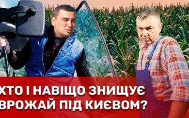 Посіви знищили, селян пошили в дурні: подробиці масштабного земельного конфлікту в Обухові