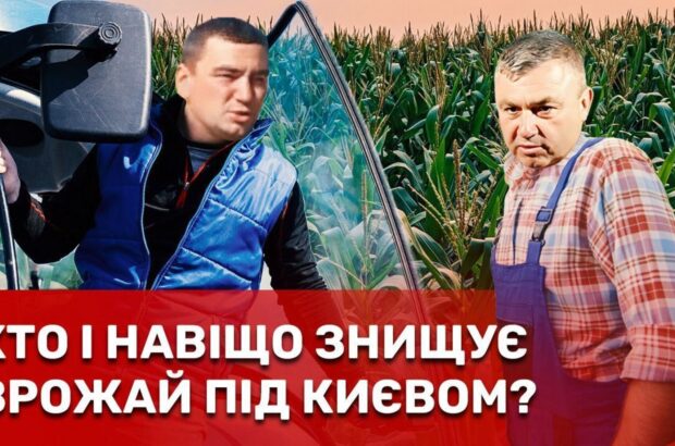 Посіви знищили, селян пошили в дурні: подробиці масштабного земельного конфлікту в Обухові