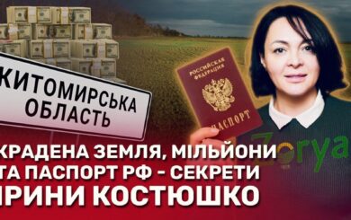 Самовари, агробізнес і слід російського капіталу: розслідування про Ірину Костюшко