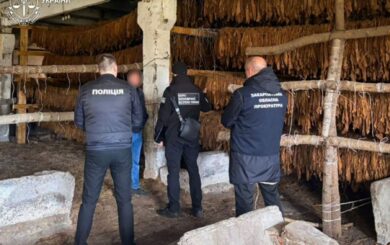 На Закарпатті викрили підпільну тютюнову мережу з плантаціями на 25 гектарах