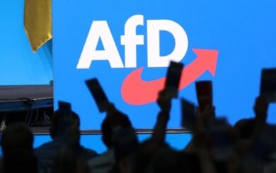 Програма AfD викликала критику через проросійські та радикальні пункти