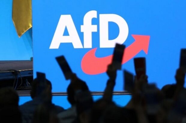 Програма AfD викликала критику через проросійські та радикальні пункти