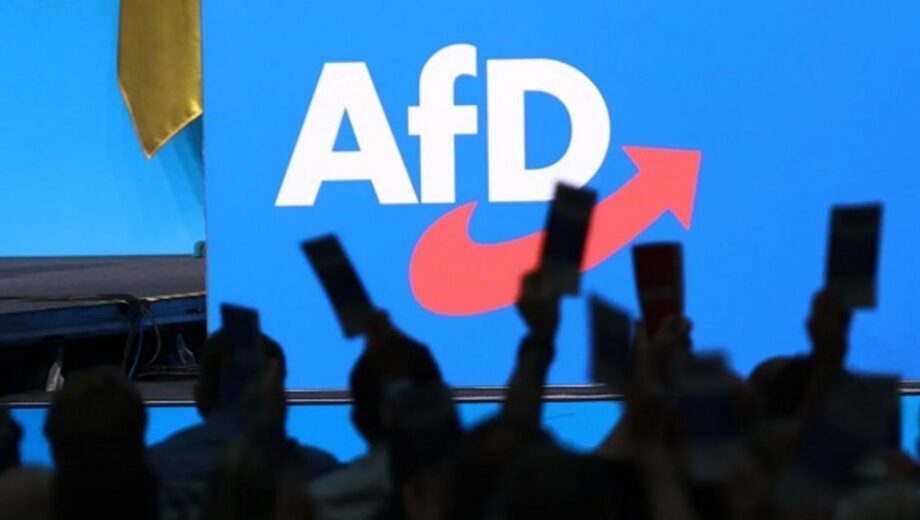 Програма AfD викликала критику через проросійські та радикальні пункти
