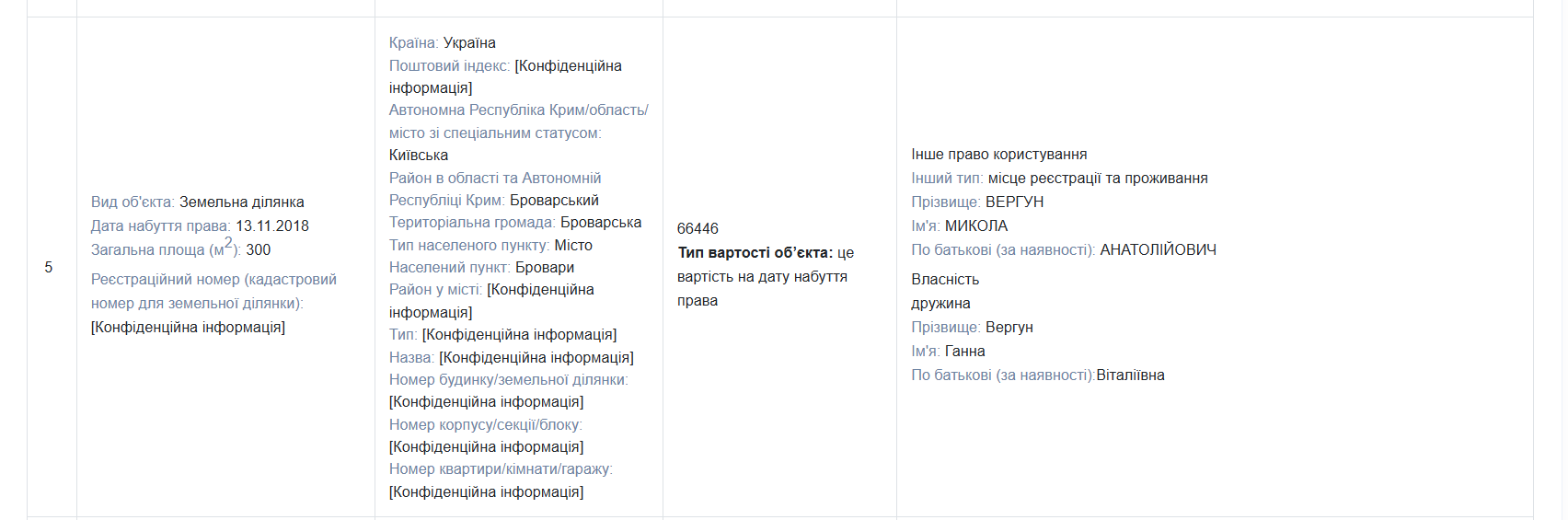 Скриншот декларации Николая Вергуна