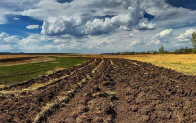На Житомирщині роздерибанені землі колгоспів повертають до власності громад