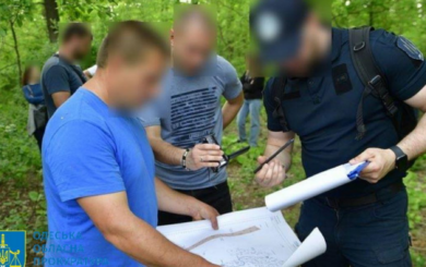 Ущерб экологии на 145 млн: в Одесской области чиновнику лесного хозяйства сообщено о подозрении