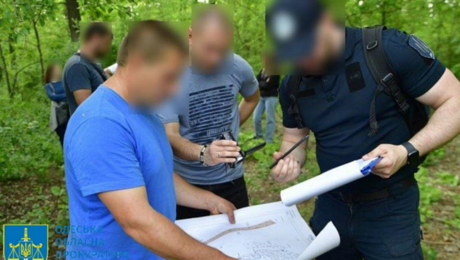 Ущерб экологии на 145 млн: в Одесской области чиновнику лесного хозяйства сообщено о подозрении