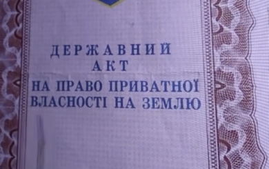 Нацполиция разоблачила группировку, нанесшую государству ущерб более чем на 105 млн грн