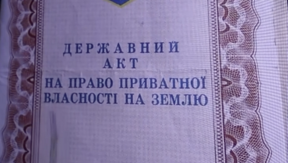 Нацполиция разоблачила группировку, нанесшую государству ущерб более чем на 105 млн грн