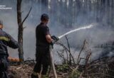 Пожары в Чернобыльской зоне могут снова ухудшить качество воздуха в Киеве