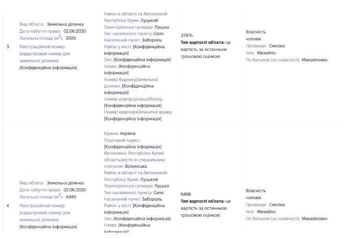 Земельні ділянки Михайла Смолки у декларації дружини
