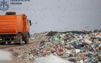 Приховали заборону на участь у тендерах: з компанії стягнуть понад 81 млн грн на користь держави