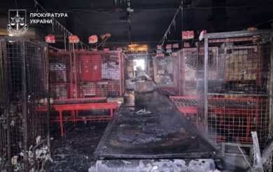 Смертельный взрыв на терминале »Новой почты» в Киеве: СБУ задержала отправителя опасной посылки