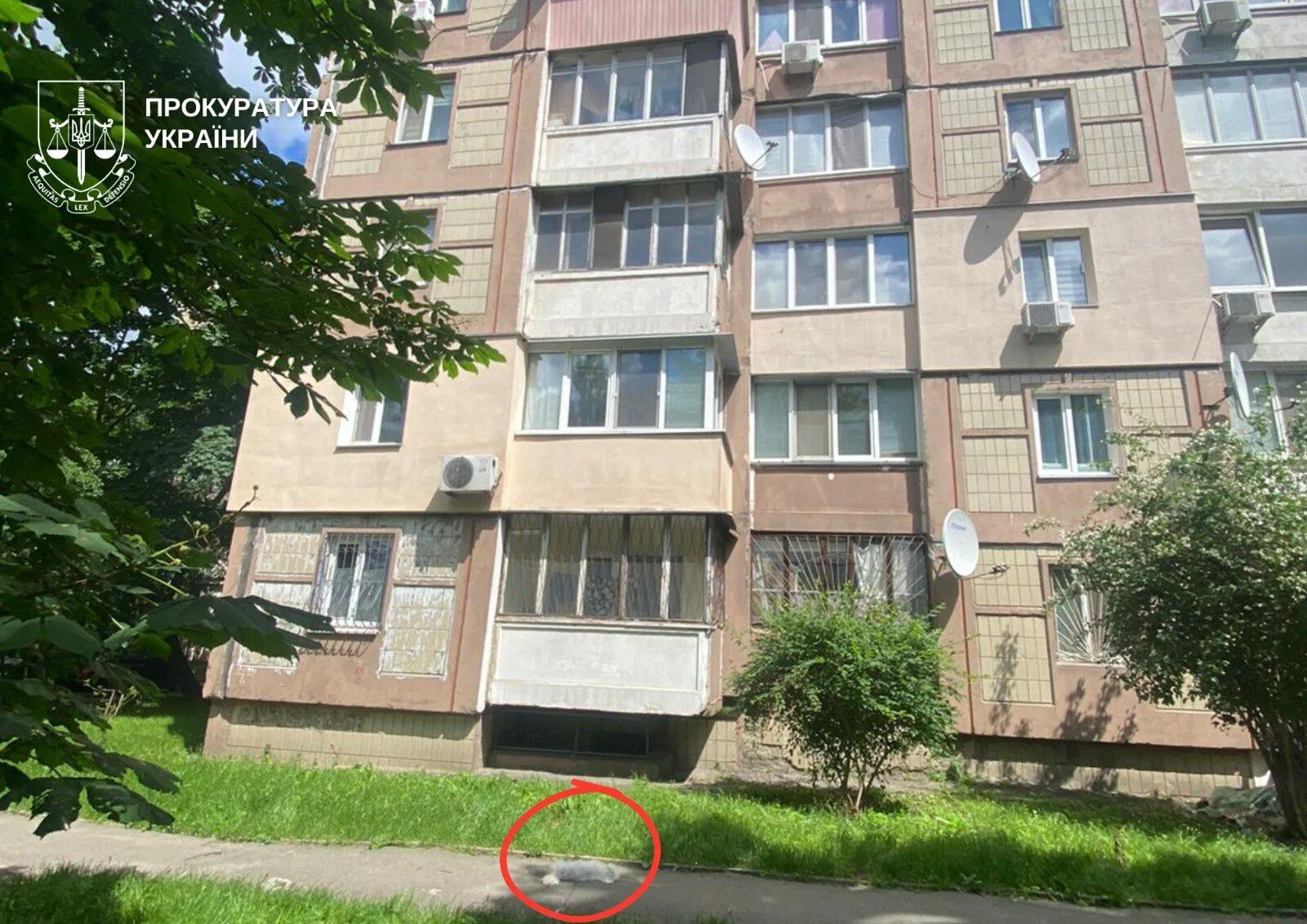 В Киеве пенсионеру сообщили о подозрении за гибель собаки, выброшенной с шестого этажа
