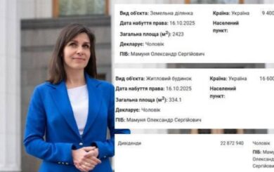 Депутат Киевсовета Виктория Пташник задекларировала дом за 16,6 млн грн и землю более чем на 9 млн