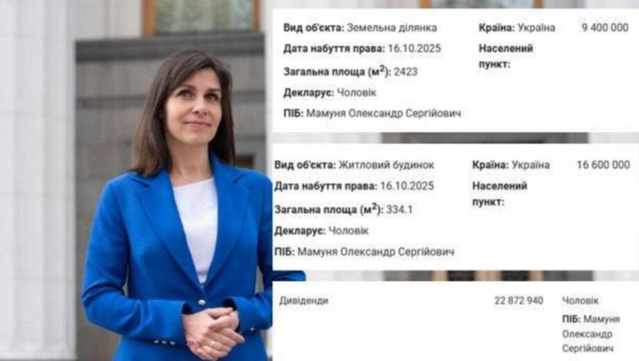 Депутатка Київради Вікторія Пташник задекларувала будинок за 16,6 млн грн і землю на понад 9 млн